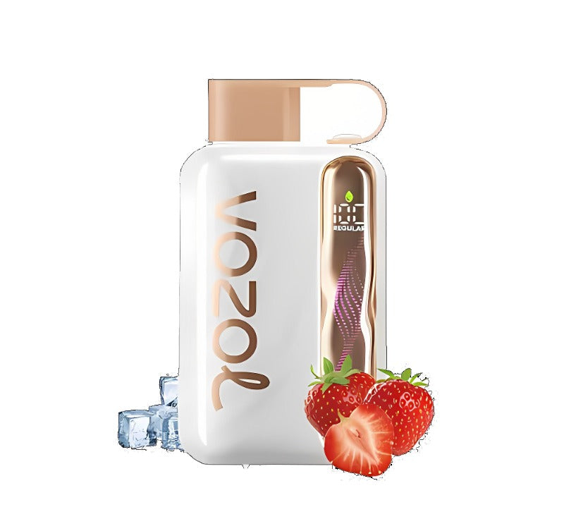 Vozol STAR 40000 Puffs Disposable Vape Smooth Nicotine Salt - (5% nic)