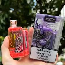 IGET FLARE B10000 Rechargeable Vape INDIA